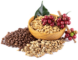 CoffeeFads Resource Hub